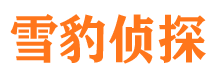 香河侦探公司